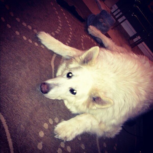 Charlie
