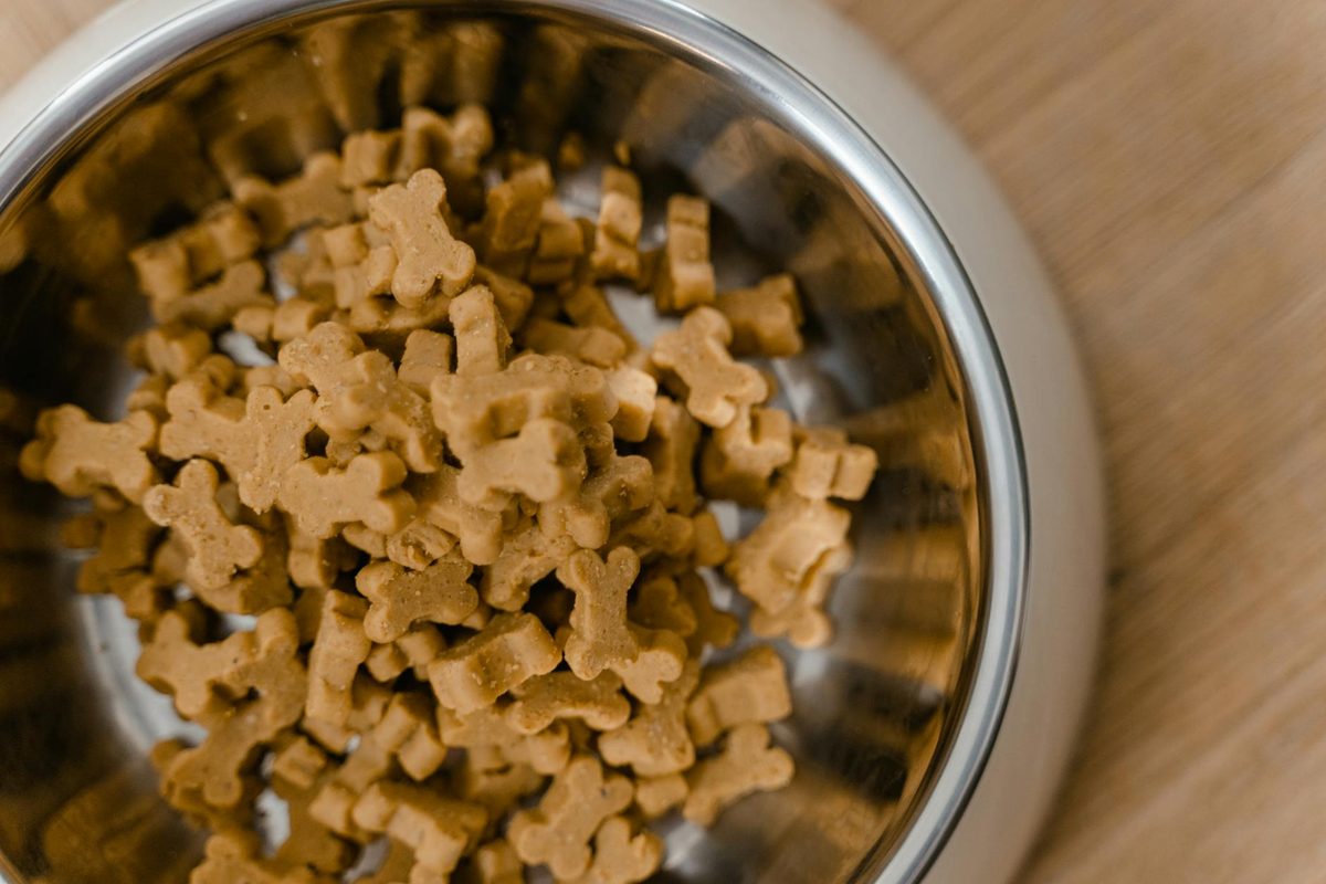 Small Breed Dog Food: Why Size-Specific Nutrition Matters