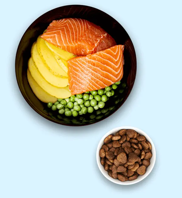 Angell Superior Adult And Senior Dog Food - Medium, Large Dog