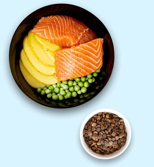 Angell Superior Adult And Senior Dog Food - Toy Or Small Dog