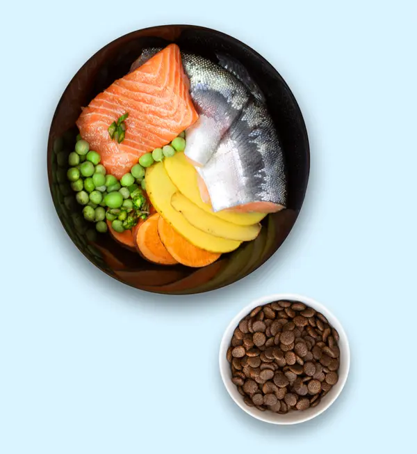 Angell Superior Lite Dog Food - Sensitive