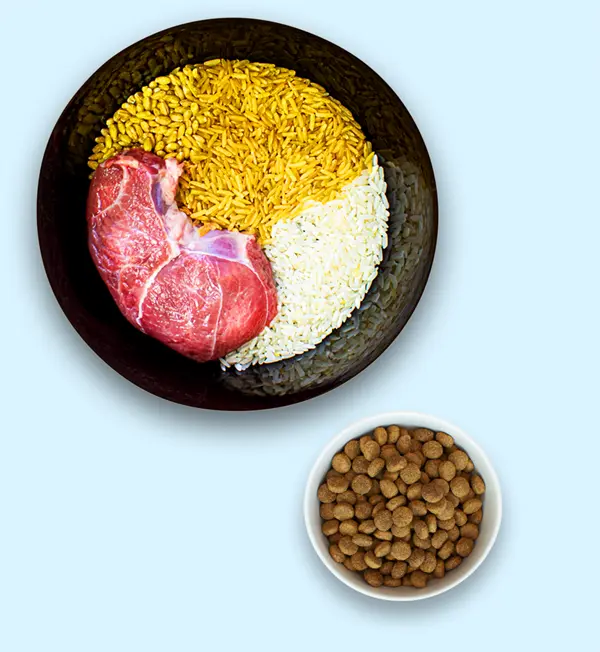 Angell Superior Maintenance