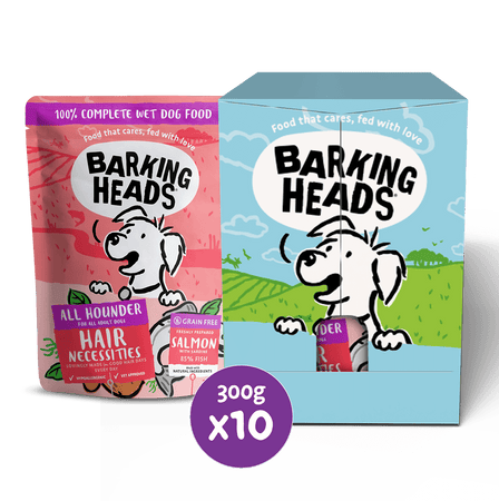 Hair Necessities Salmon Wet Dog Food - All Hounder