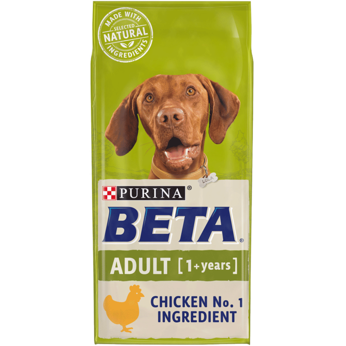 Beta Adult Chicken