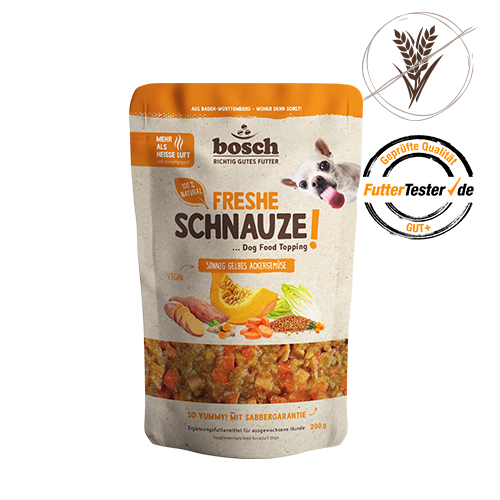 sonnig gelbes Ackergemüse