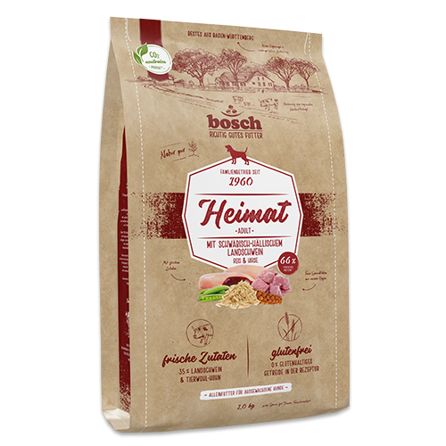 Adult mit Schwäbisch-Hällischem Landschwein