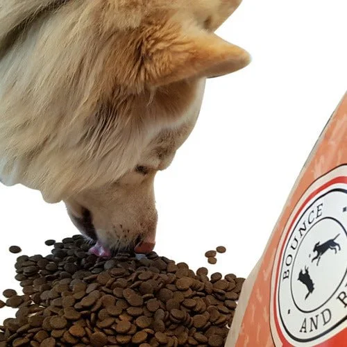 Bounce and Bella Large Breed Steam Cooked Salmon & Trout