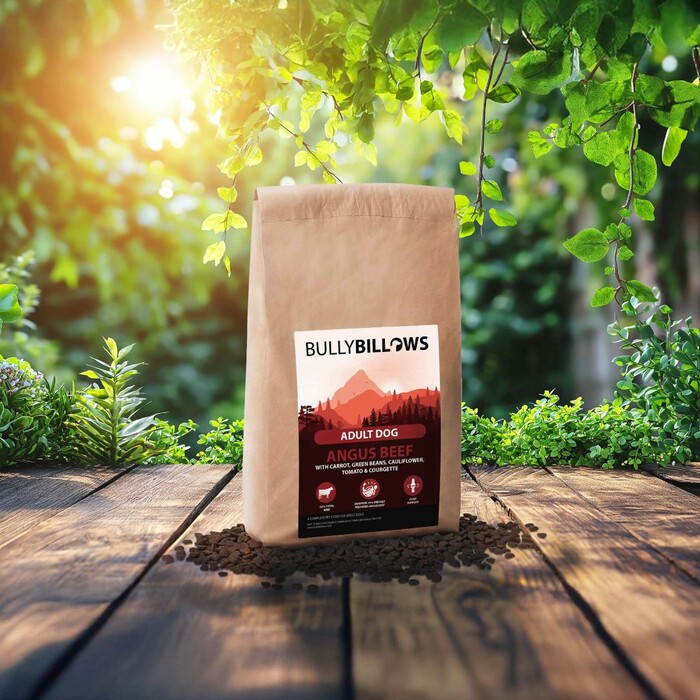 BullyBillows Angus Beef Dry Superfood Adult