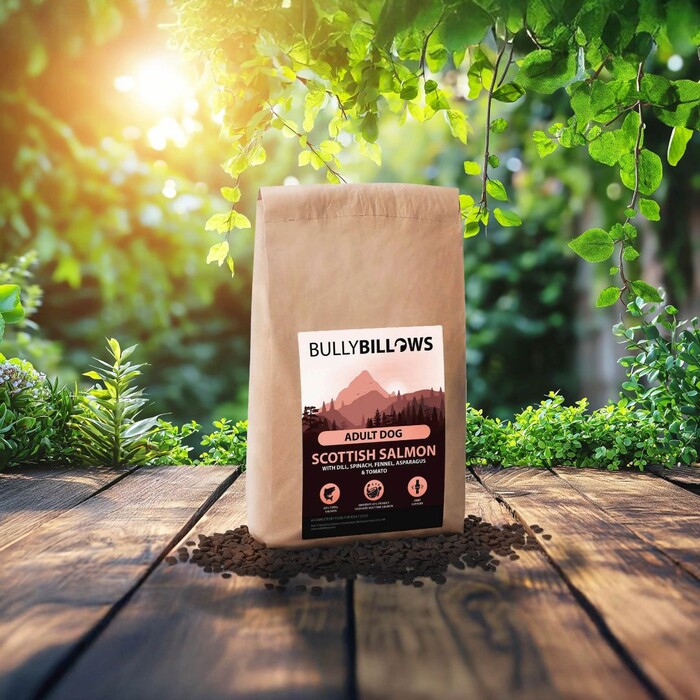 BullyBillows Scottish Salmon Dry Superfood Adult