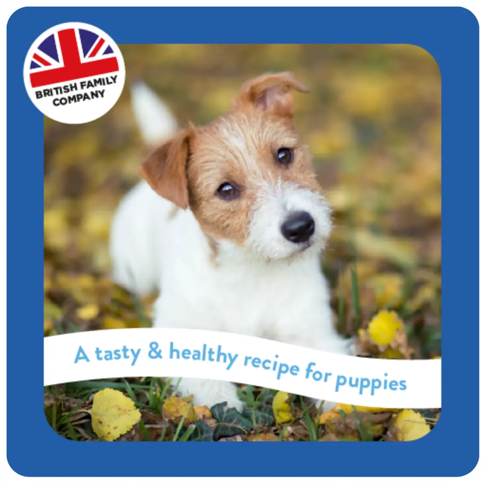 Burgess Supadog Finest Puppy