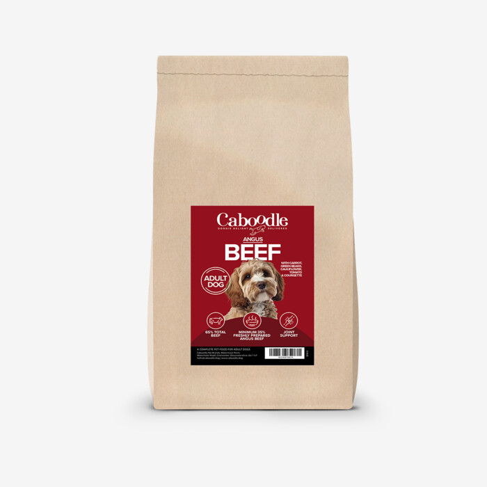 Caboodle Superfood Dry Food - Angus Beef
