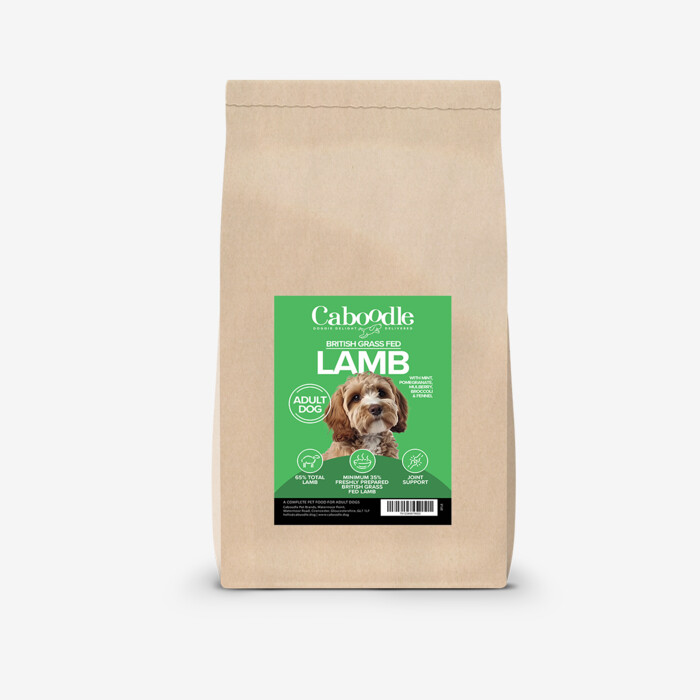 Caboodle Superfood Dry Food - British Grass-Fed Lamb