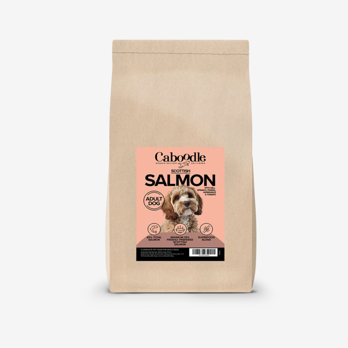 Caboodle Superfood Dry Food - Scottish Salmon