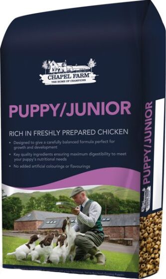 Chapel Farm Puppy/Junior