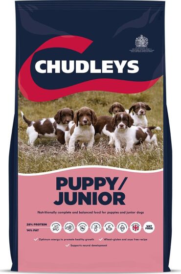 Chudleys Puppy / Junior