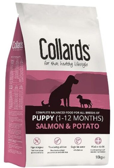Collards Puppy Salmon & Potato