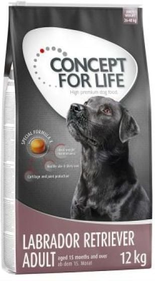 Concept For Life Labrador Retriever Adult