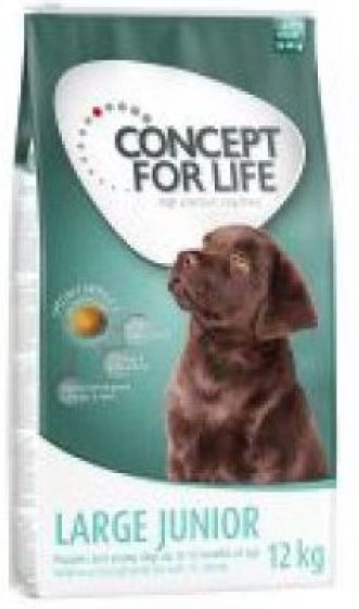 Concept For Life Large Breed Junior