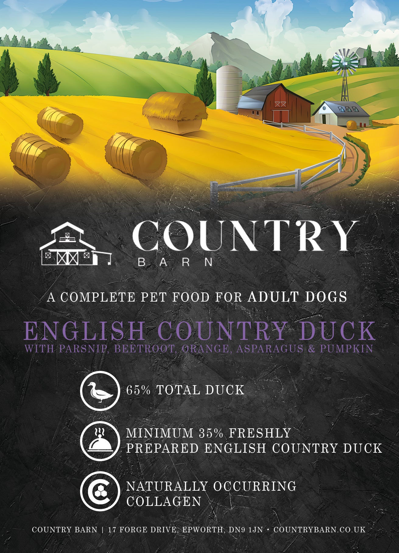 Country Barn Country English Duck