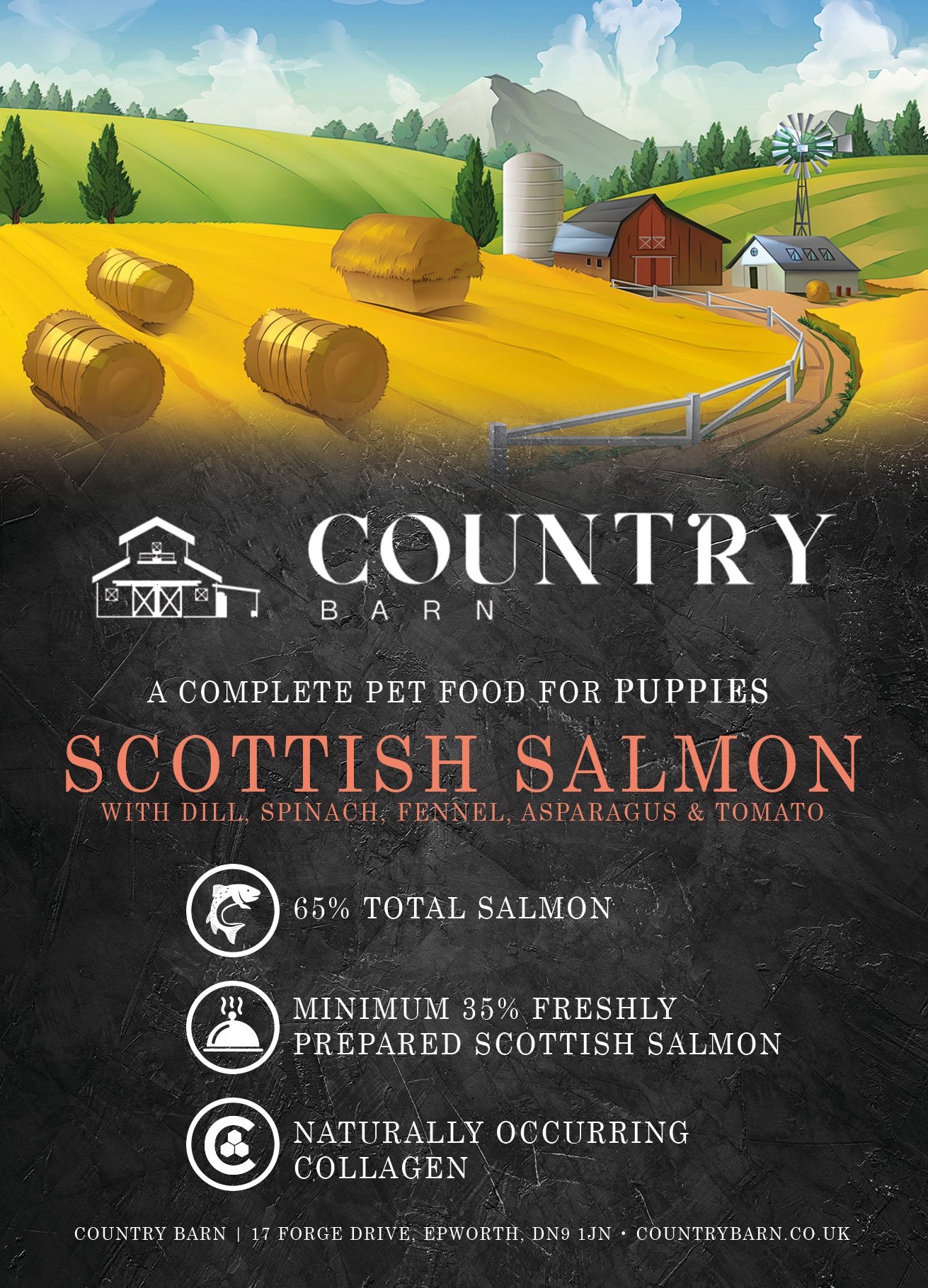 Country Barn Puppy Scottish Salmon