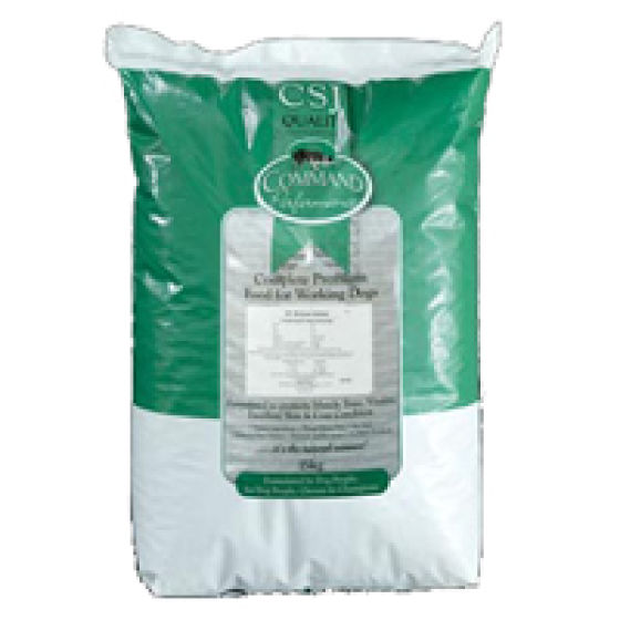 CSJ Command Performance 21