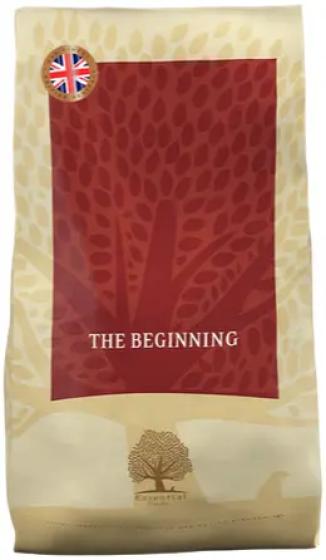 Essential The Beginning