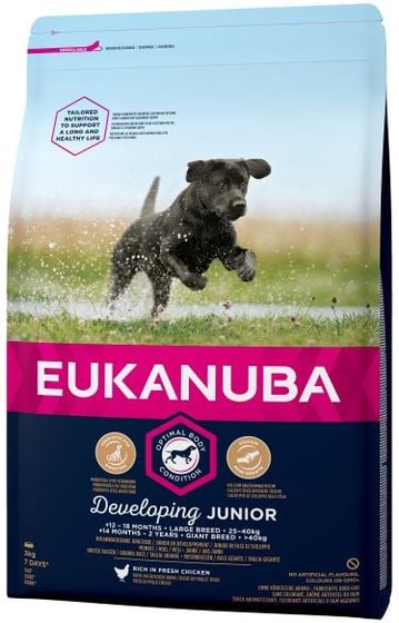 Eukanuba Developing Junior Large Breed