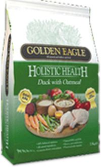 Golden Eagle Adult With Oatmeal