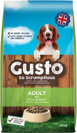 Gusto Adult