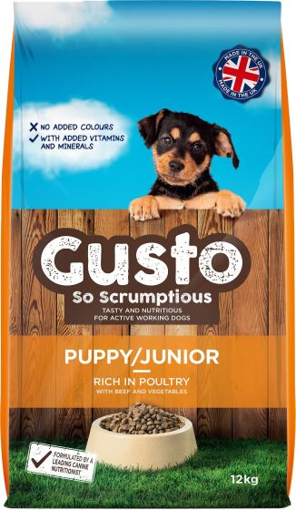 Gusto Puppy