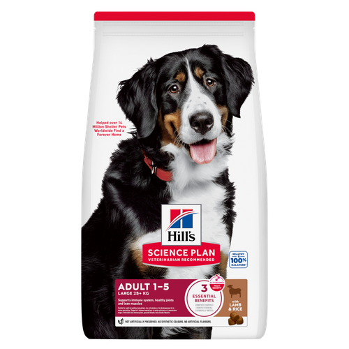 Large Breed Adult Dog Food