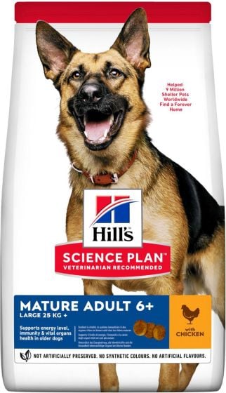 Hill's Science Plan Mature Adult 6+ Large
