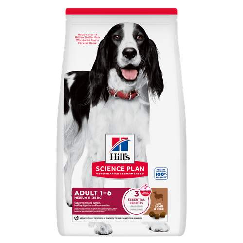 Medium Adult Dog Food