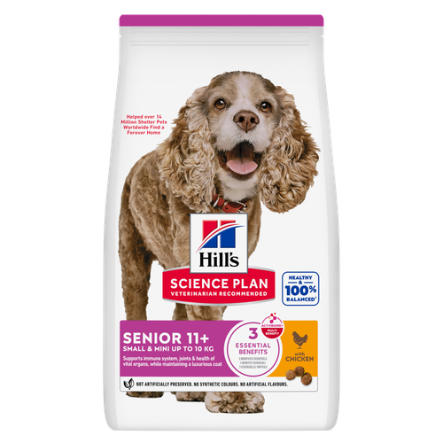 Small & Mini Senior Dog Food