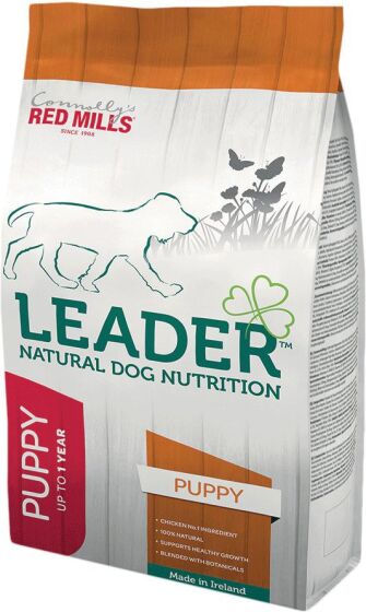 Leader Puppy Medium Breed