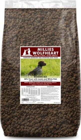 Millies Wolfheart Gundog Mix