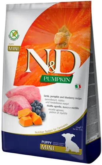 N&D Pumpkin Puppy Mini