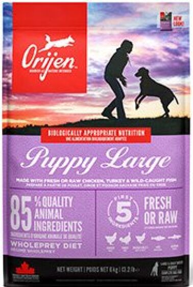 Orijen Puppy Large