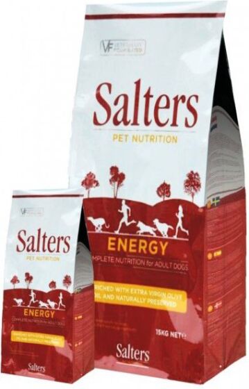 Salters Energy