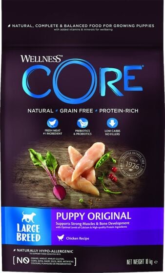 Wellness Core Puppy Large Breed