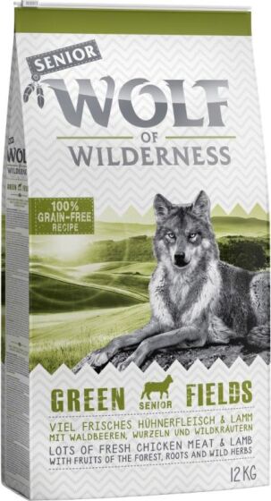 Wolf Of Wilderness Dry Senior