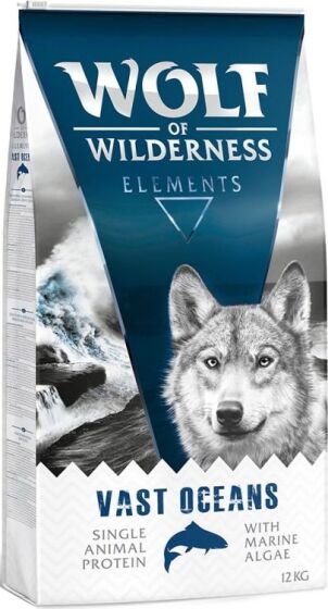 Wolf Of Wilderness Elements