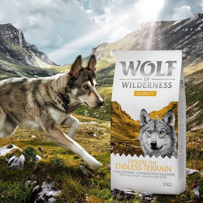 Wolf of Wilderness "Explore the Endless Terrain" Mobility - Grain-Free