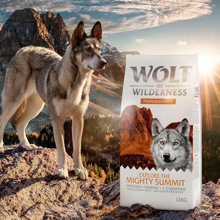 Wolf of Wilderness "Explore the Mighty Summit" Performance - Grain-Free