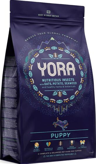 Yora Puppy